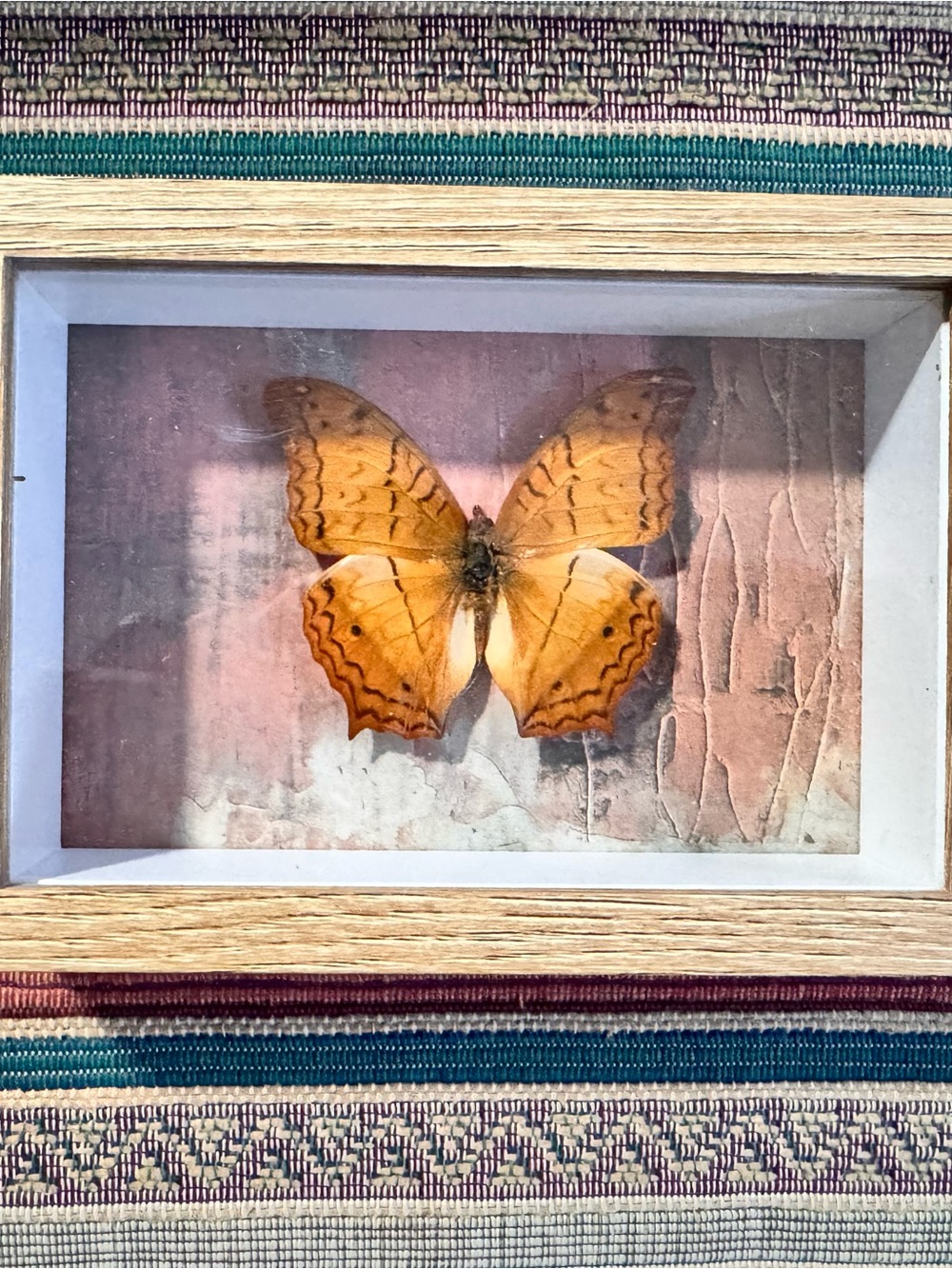 Framed Orange Butterfly Wall Art - Unbranded